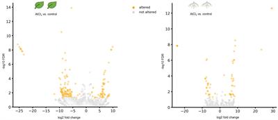 Differential gene expression in leaves and roots of Hydrangea serrata treated with aluminium chloride